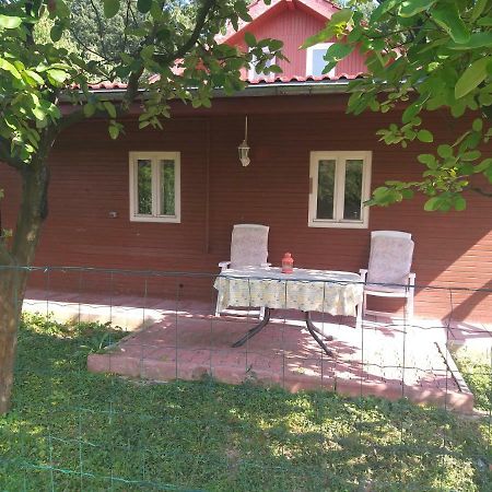 Rustic Country House In Snagov Apartment Ngoại thất bức ảnh
