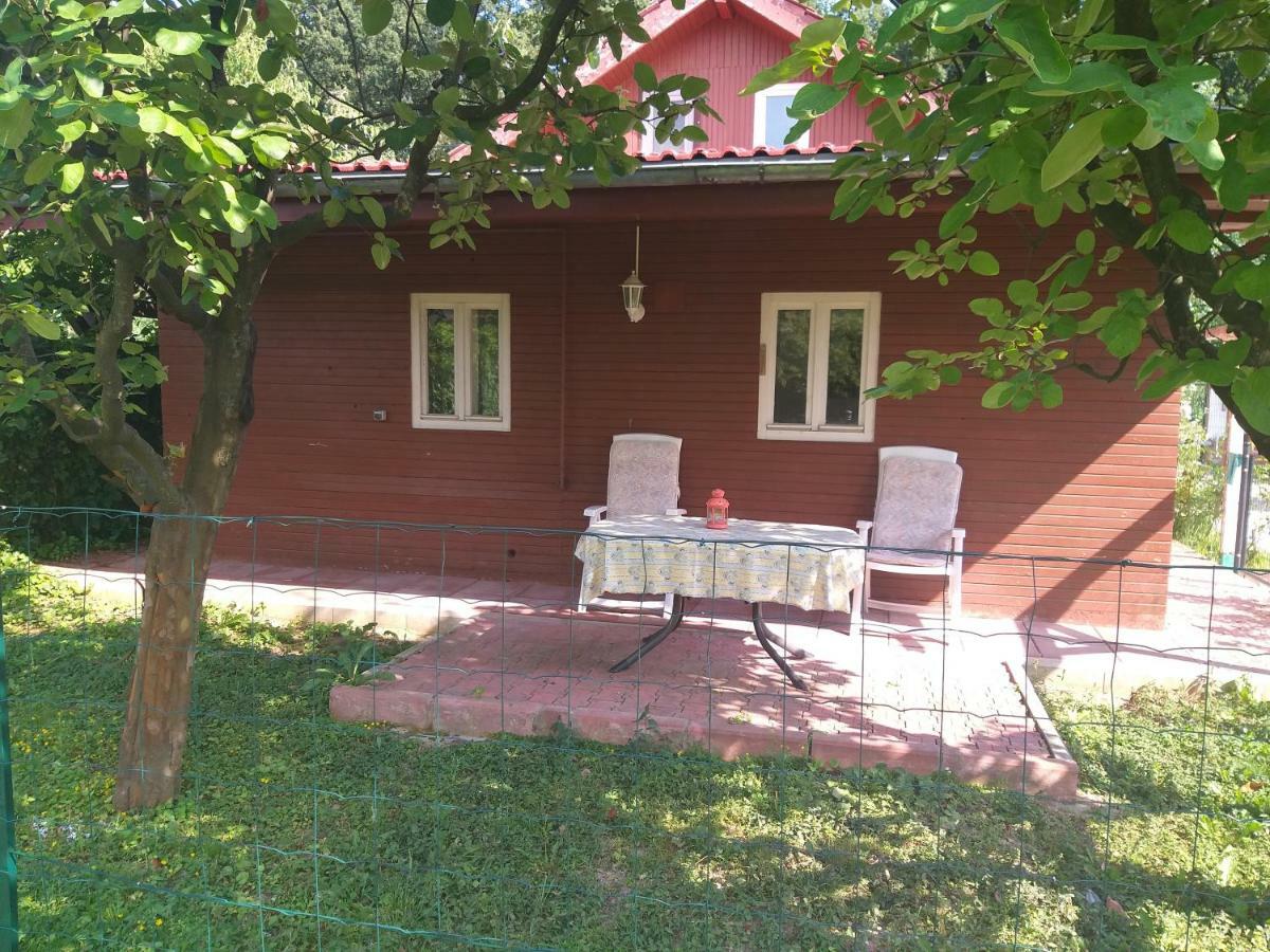 Rustic Country House In Snagov Apartment Ngoại thất bức ảnh
